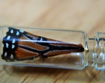 Genuine Butterfly Wing Vial/Keepsake Necklace