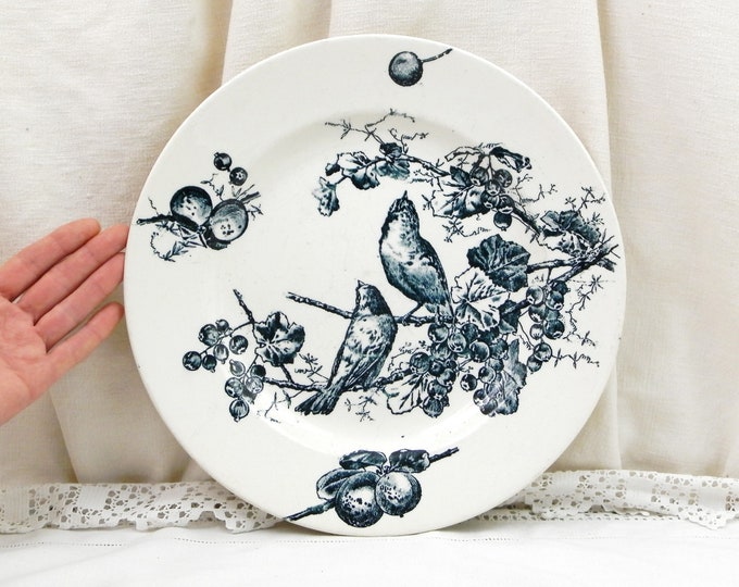 Large Antique Ceramic Ironstone Serving Plate with Bird and Fruit Pattern in Teal Blue France, French Country Cottage Decor, Wall Hanging