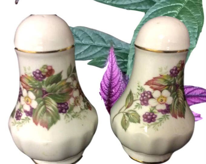 Queens China, Vintage Shakers, Salt and Pepper, Fine Bone China, Blackberry Design, Kitchen Shakers, England
