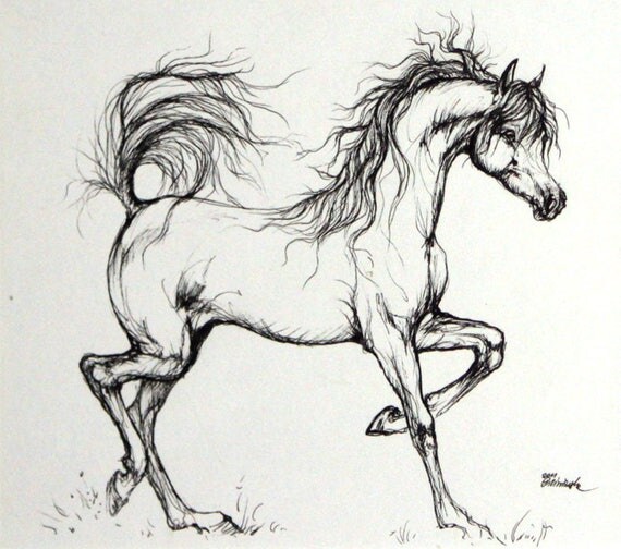 Cheval pur sang arabe oeuvre art portrait de cheval dessin