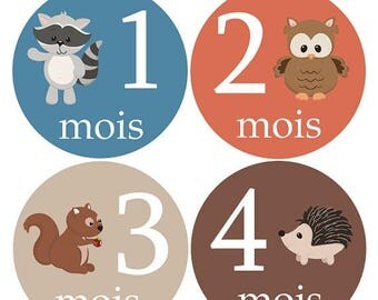 Autocollants FRANÇAIS pour la croissance de bébé, Stickers Garçon fille, Animaux de la forêt, cadeau de shower, hiboux, raton, F120