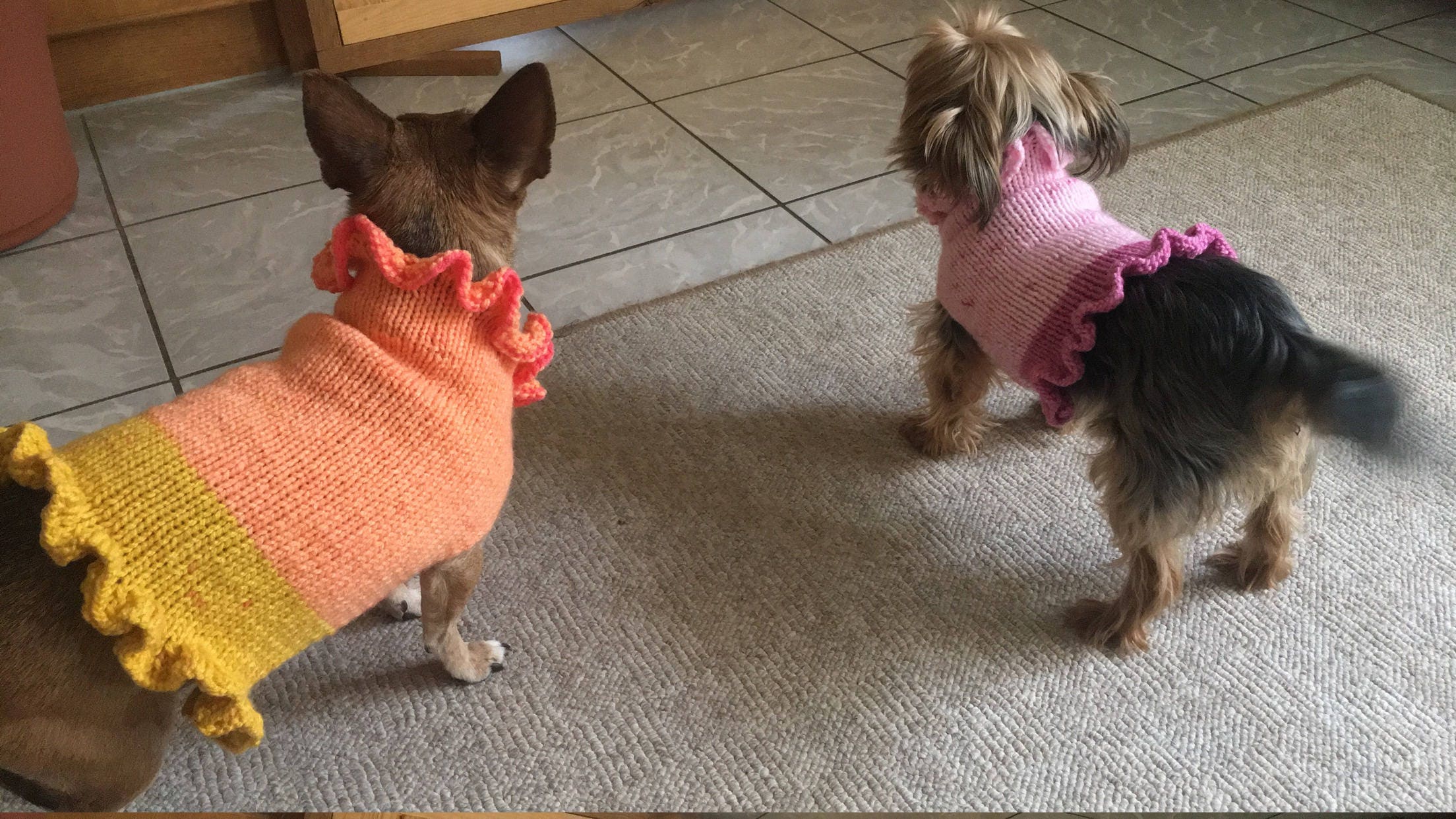 Ruffled doggie sweater knitting pattern