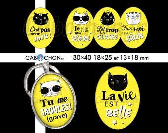 Humeur de Chat ll • 45 Images Digitales OVALES 30x40 18x25 13x18 mm digital sheet chat cat dechire super cabochon badge bijoux