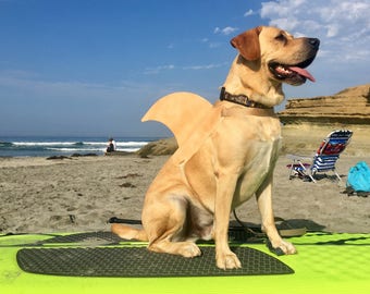 LARGE. Dog shark fin. Your shark dog will be a hit at the beach or park. They're Lab tested!
