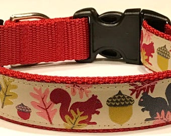 Dog Collar: Squirrels and Acorns Jessica Jones Ribbon Adjustable Dog Collar/Leashes, Pet Supplies, Nature/Rustic Gift, Veterinary Gift