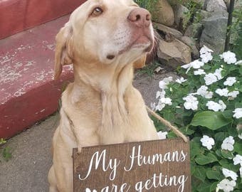 My Humans Are Getting Married-Engagement Announcement
