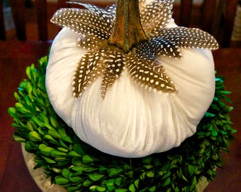 Off White Velvet Pumpkins with Real Pumpkin Stems and Feathers