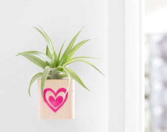 Air Plant Heart Magnet, Valentines Day Gift, Girlfriend Gift, I Love You Gift, Refrigerator Magnet, Planter Magnet, Mom Gift, Wife Gifts