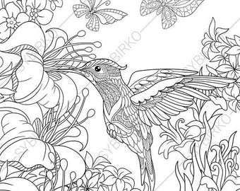 Hummingbird 3 Coloring Pages Animal Book For Adults Instant Download Print