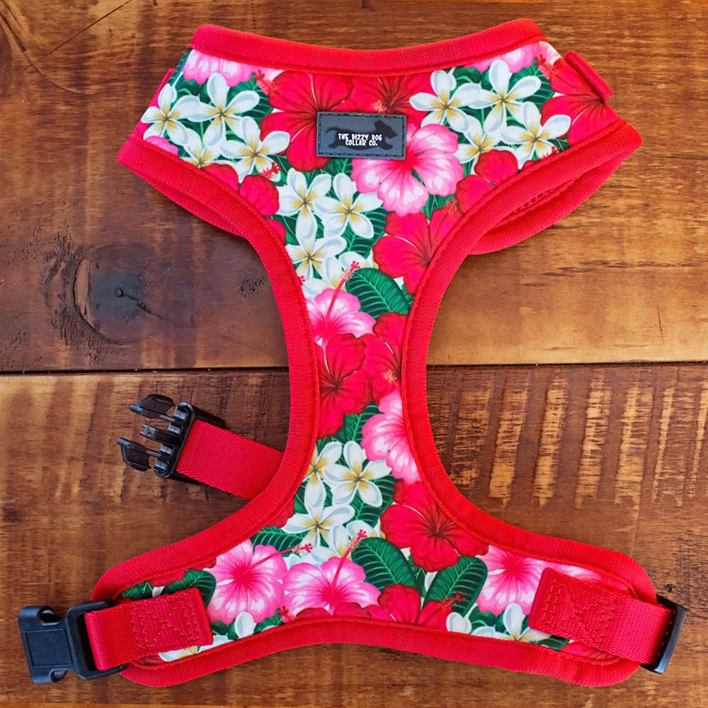 Tropical Dog Harness / Dog Harness Australia / XSXL / Dog