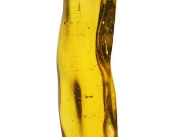 P75 / natural amber pendant
