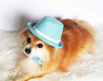 Fedora for DOGS, CATS! HANDMADE dog hats, dog caps, summer hat, cowboy hat, sun visor hat, sun hat, pet accessories, dog hoodies, dog outfit