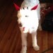 DublinHound