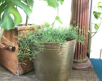 Large Hammered Brass Planter • Bohemian • Boho Decor