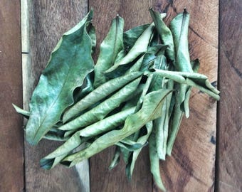 Organic Soursop Leaves | Graviola Annona Muricata | Whole Leaf | Hawaii Grown | Tea Leaves | Made to order | 2 oz