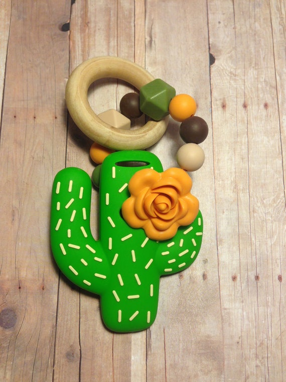 cactus rattle