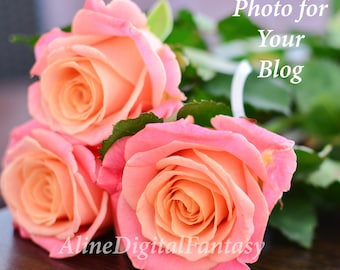 Stock Photo, Instagram photo, Photo for blog, Digital photo, Digital Roses, flower gift girls