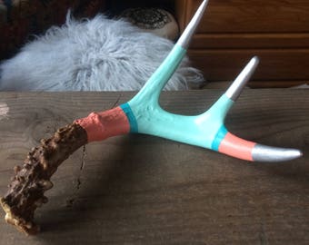 Hand painted deer antler, bright fun colors