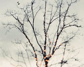 Abstract Photography, Bokeh Photo, Tree Prints, Modern Art Print, Tree Lights Bokeh, Abstract Art