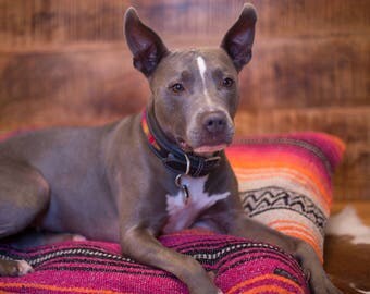 24 x 24 Machine Washable Pillow Style Dog Bed with an Authentic Mexican Blanket Cover