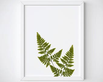thumbnail image 2 of Spruce Up Your Space With These Fern Tree Leaf Vinyl Decals! Pack Of 3, Perfect For Walls, Windows, Or Anywhere. Fern, Pine, Flower Silhouette. 2 of 4