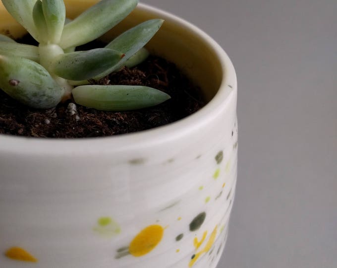 Pottery Planter, succulent planter, ceramic plant pot, small bowl, plant pot, cactus planter, speckled planter, butter dish, yellow planter