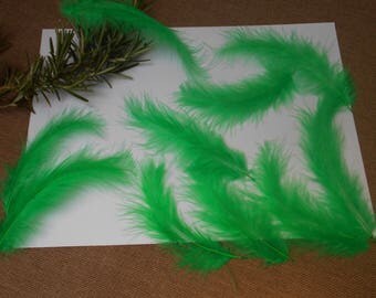 10 feathers - green d ' about 11cm