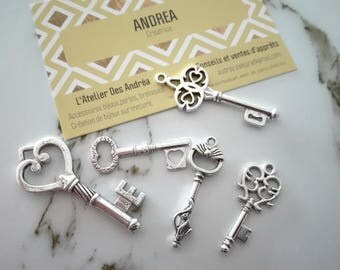 Set no. 5 ☆ / x 5 silver metal key / shapes mixtes☆