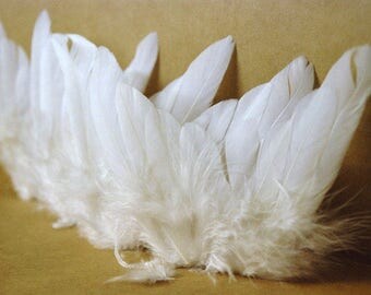 ANGEL WINGS 10 x 8cm