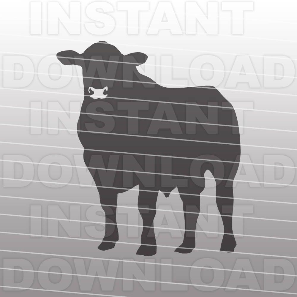 4H Angus Bull SVG File Cattle SVG Livestock SVG Vector