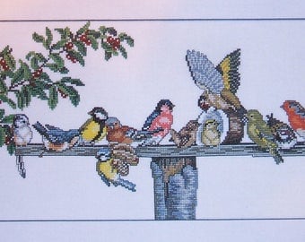 Eva Rosenstand Birds at the Feeder 14-076 Clara Waever Cross Stitch Kit