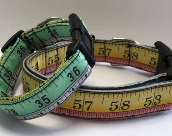 You Rule! Ruler Print Dog Collar Size XS, S, M, L