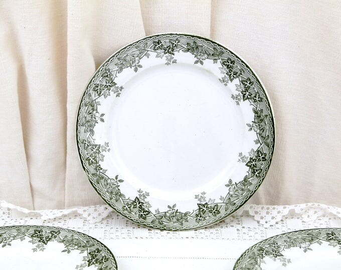 Antique French Ironware "Terre de Fer" St Amand et Hamage China Plate Dark Green Ivy and Wild Rose Pattern, Chateau, French Country Decor Antique French Ironware "Terre de Fer" St Amand et Hamage China Plate Dark Green Ivy and Wild Rose Pattern, Chateau, French Country Decor