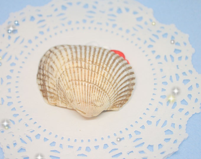 Sailor Jupiter Seashell Resin Tile