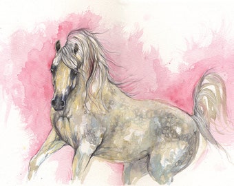 Arabian horse, equine art, horse portrait, equestrian, cheval, original watercolor painting