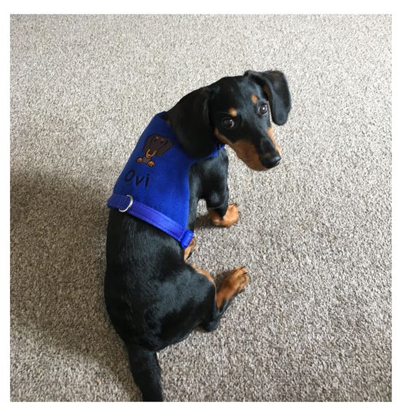 DACHSHUND Dog Harness Personalized Embroidered Fleece Vest