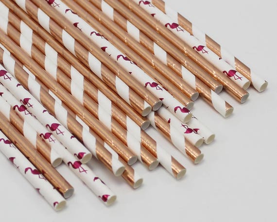Girl 1st Birthday, Flamingo Paper Straws, Let's Flamingle, Teen Pool Party, Tropical Sip and See, Rose Gold Straws, Flamingo Decor, Il_570xn