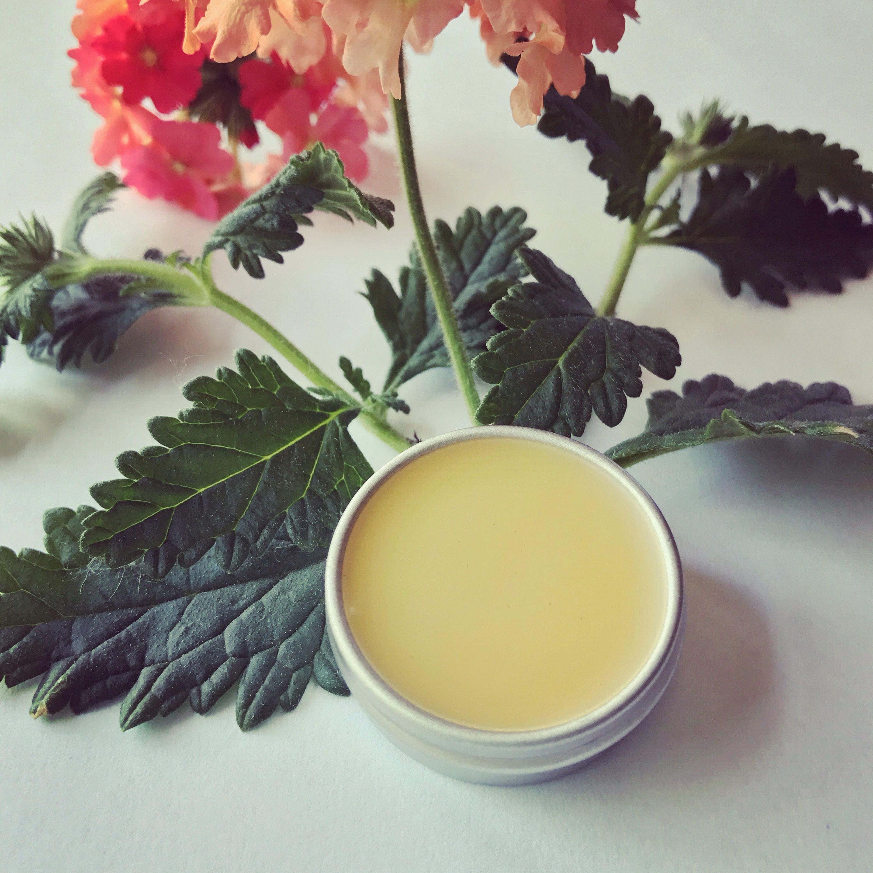 Cancer botanical zodiac fragrance. organic perfume. melissa