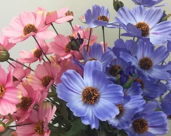 Wholesale Periwinkle and Pink Cosmos Bushes