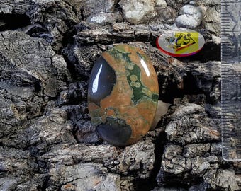 CS0314- Rain Forest Jasper Cabochon