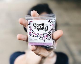 10 tiny seed bombs - wild lupine - wildflower seed bombs - plants for pollinators - fun for kids - urban garden - guerrilla gardening