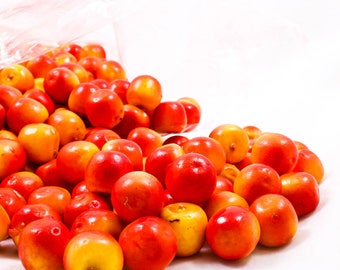 50x Apple Lifelike Fruit Small Kitchen Artificial Fake Food Display Home Decoration Craft DIY 18x19mm Miniature A1925