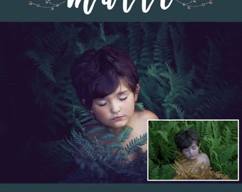 Photoshop Actions: Matte Collection