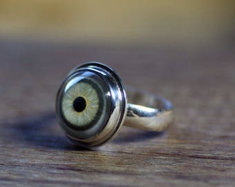 Eyeball Ring, Evil Eye Ring, Taxidermy Eye, Human Eye Ring, Glass Eye, Gift for Her, Size 6