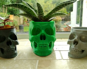 Skull Planter, Skull Plant Pot, Human Skull, Human Skull Decor, Skull Vase, Skull Bowl, Office Planter, Desk Planter, Desk Plant Pot, Indoor