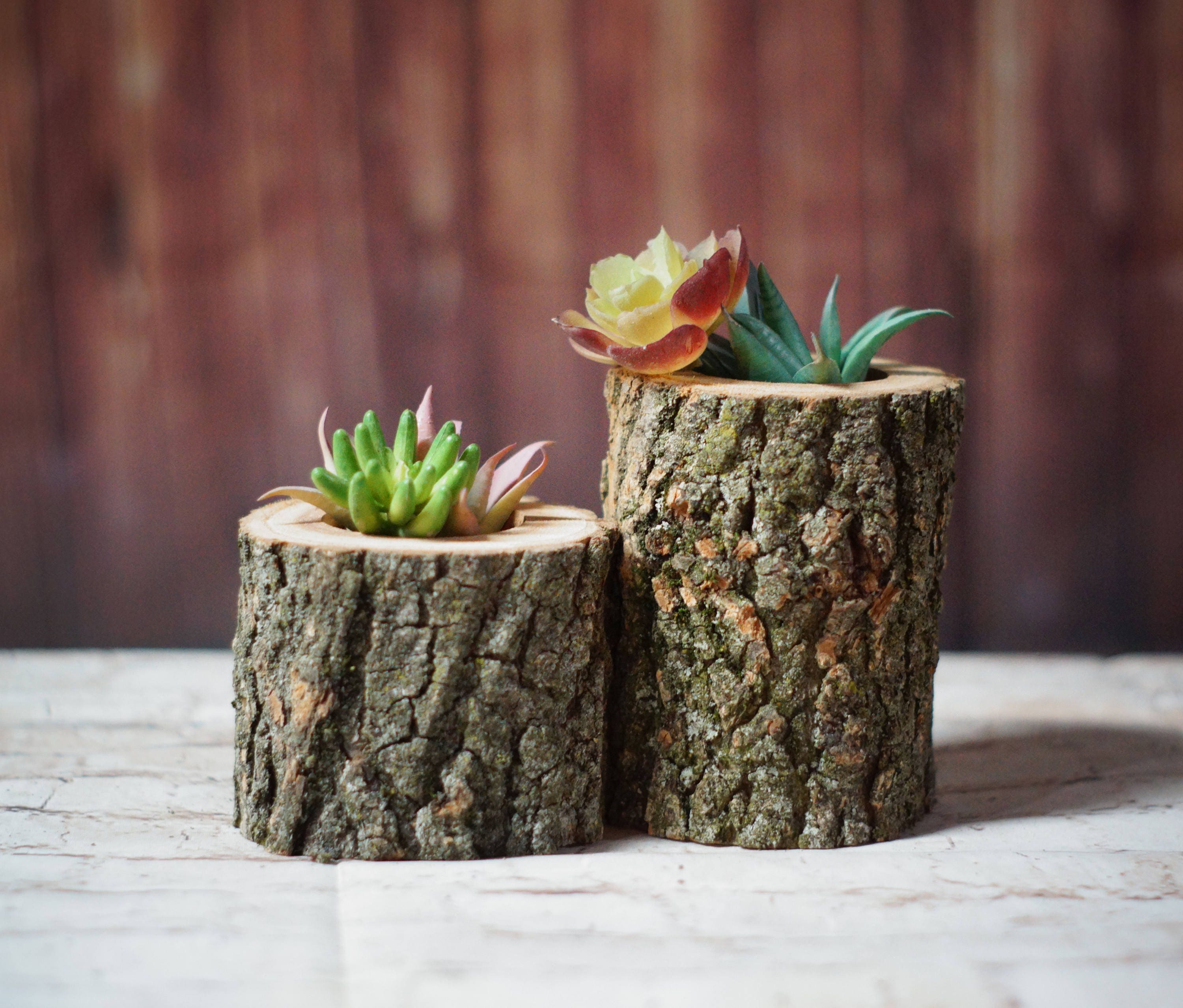 Wood Succulent Holder Log planter Natural Wood Planter