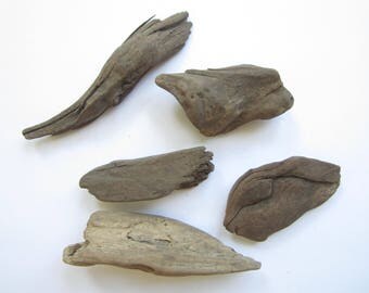 Assortment of 5 Large Driftwood Pieces-Craft Supplies-Driftwood Pieces-Driftwood Supplies-Driftwood-Assortment of Driftwood