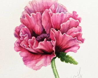 Original poppy flower watercolor, still life, ,botanical art, gift, wall decor