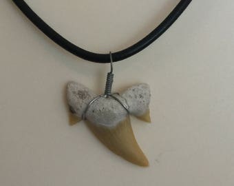 Vintage Shark Tooth Necklace