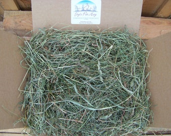 5 lb - 1st cut TIMOTHY mixed grass HAY! Rabbit hay, Guinea Pig hay, Chinchilla hay, Gerbil hay, Hamster hay. Small animal hay.